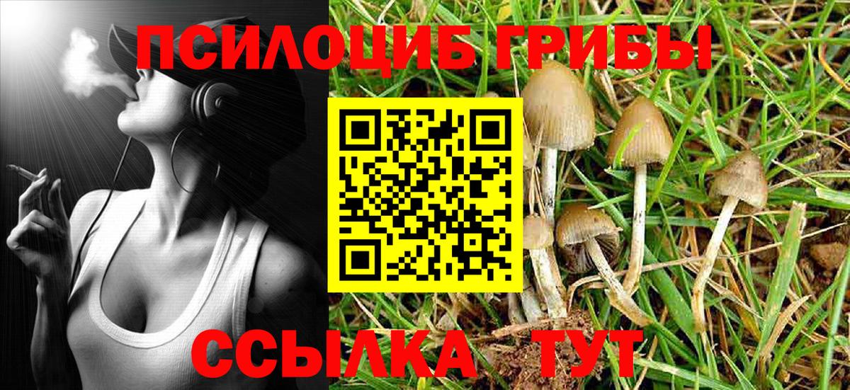 Галлюциногенные грибы мухоморы Жигулёвск
