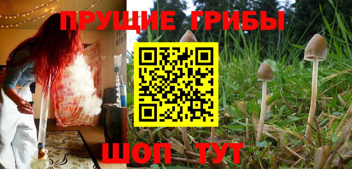 Жигулёвск  Галлюциногенные грибы Magic Shrooms  Вход с VPN 